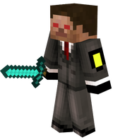 pulice gaurd