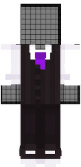 Vestimenta 