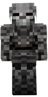 skin.1