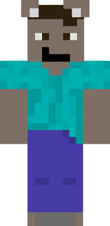 mrkoala