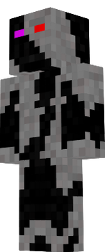 EnderTerminator