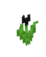 black tulip