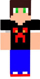 skin principal