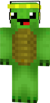 kornjaca