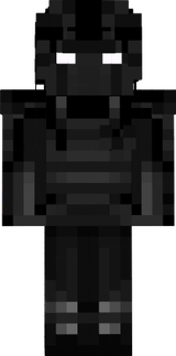 3TS