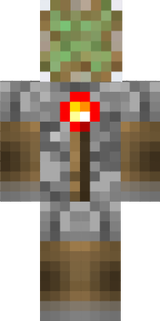 pistonskin