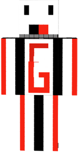 SGEPlayer2017