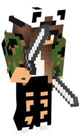 skin