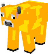 Golden Apple Cow