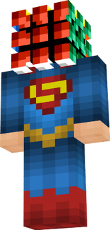 Reflexion skin