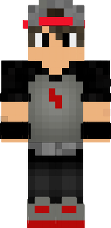 Skinarion
