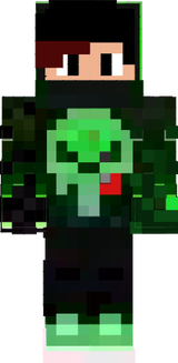 skin