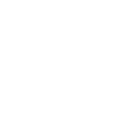 223