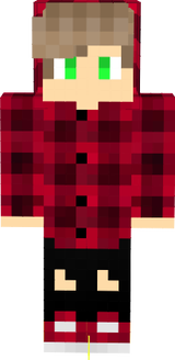 gamer
