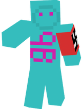 9b9t skin