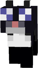 New kaiwil cat 