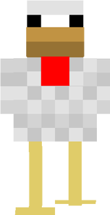 tavuk