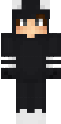Preview of texture: Polloo