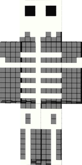 ESQUELETO