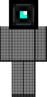 camera head