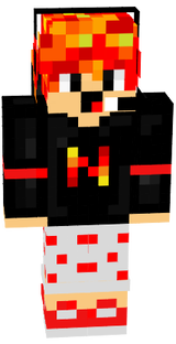 NamMinerMc