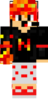 NamMinerMc V2