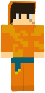 arin