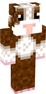 Guinea pig
