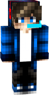 gina4pro