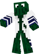 skin