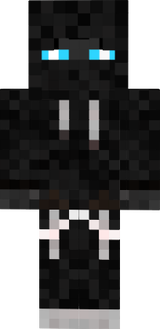 Ninja Endie