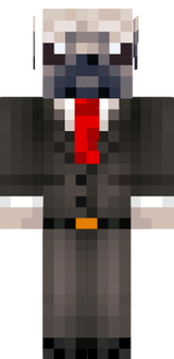 pgg