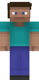 steve