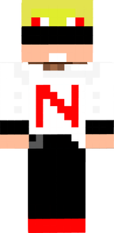 nai-skin