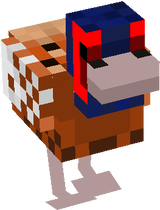 Pheasant