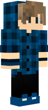 FakeSouVinii