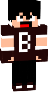 BreSer_BHE