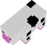 cow pig