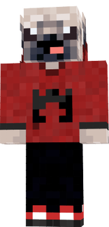 Team Magma Pug