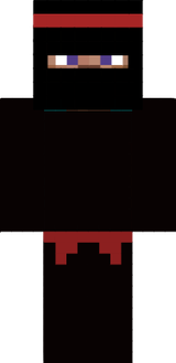 ninja