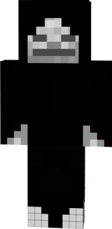 1skan