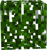 stuff 2