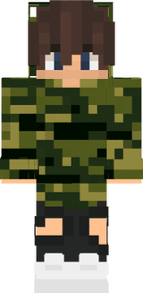Skin