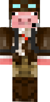 newskinv1