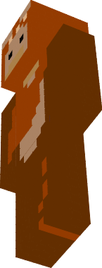Preview of texture: wicket