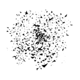 Fragmentos