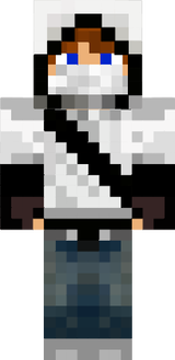 The Assassin
