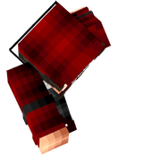 bokosse_ender