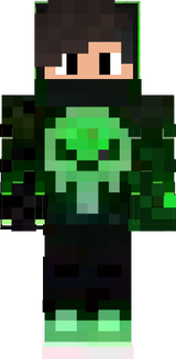 skin