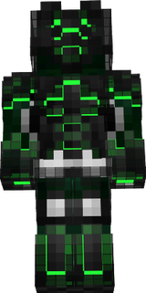 skin
